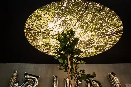 The Hive - Meeting Room