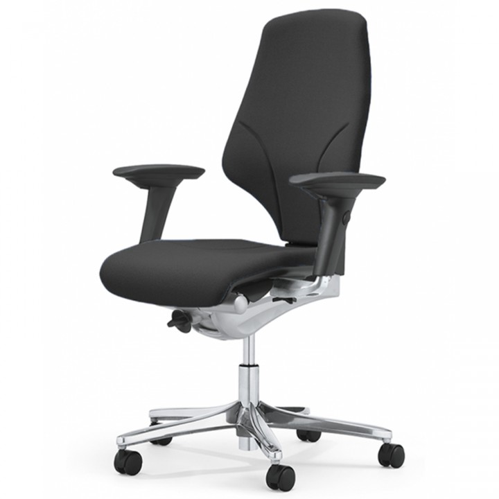 Giroflex 64 - 3578 (kopie)